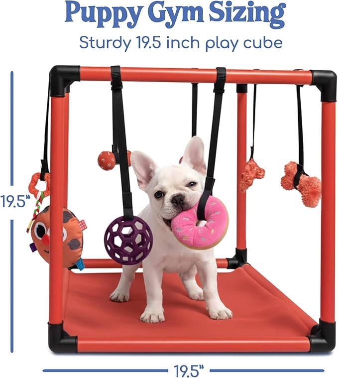 Race&Herd Puppy Play Gym, Dog Play Mat, 8 Bungee Straps Interactive Puppy Active Toys - Small Dog Jungle Gym 19.5" Frame with Playground Set Indoor Enrichment Activity Center (Red)