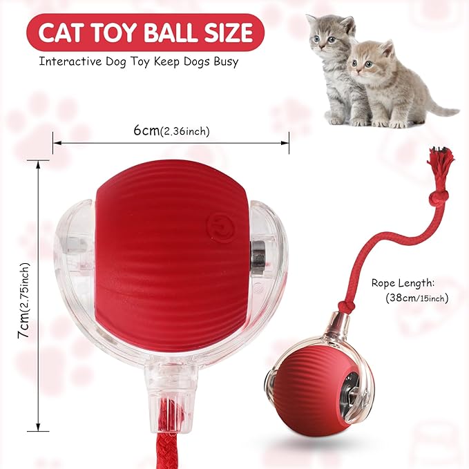 Interactive Dog Ball, Electric Cat Ball, cat Toys for Bored Indoor Adult Cats, Interactive Cat Toys for Indoor Cats, Interactive Dog Toys