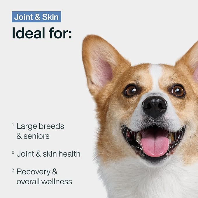 JustFoodForDogs Pantry Fresh Wet Dog Food, Complete Meal or Dog Food Topper, for Joint Health, Skin Health, Allergies, Joint & Skin Support, Pork & Quinoa - 12.5 oz (Pack of 12)
