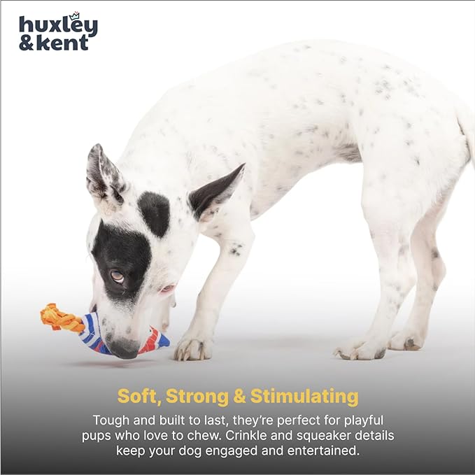 Huxley & Kent Funny Dog Toy w/Squeaker – Power Plush Squeaky Dog Toys for Small Dogs – Durable Small Stuffed Animal for Indoor Play & Fetch - Tiny Tuff Rocket Man