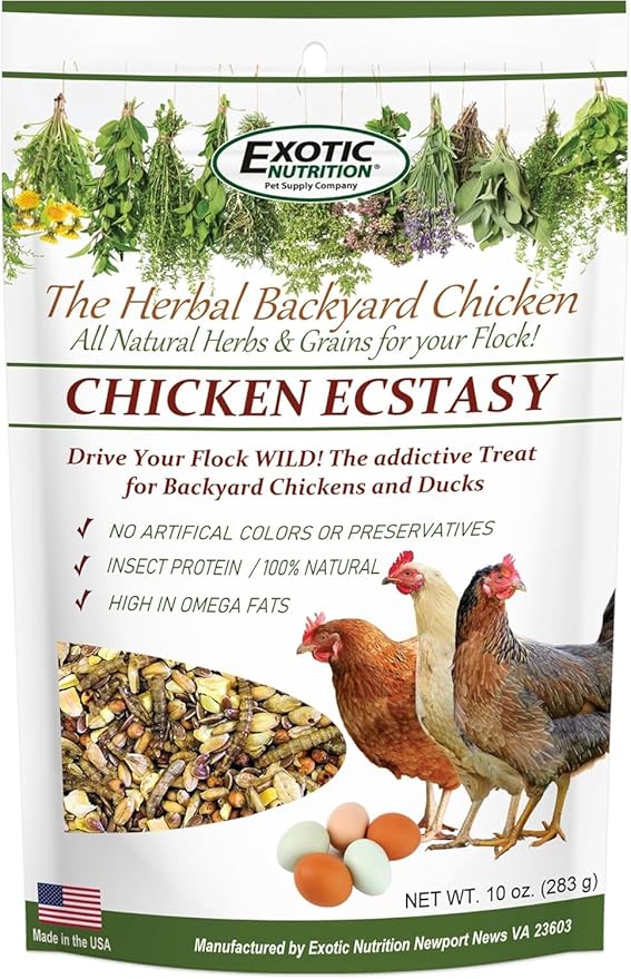 Exotic Nutrition Chicken Ecstasy (10 oz.) - Healthy All-Natural Backyard Chicken Feed - Grains, Dried Mealworms & Natural Extracts - Promotes Healthy Chickens & Eggs
