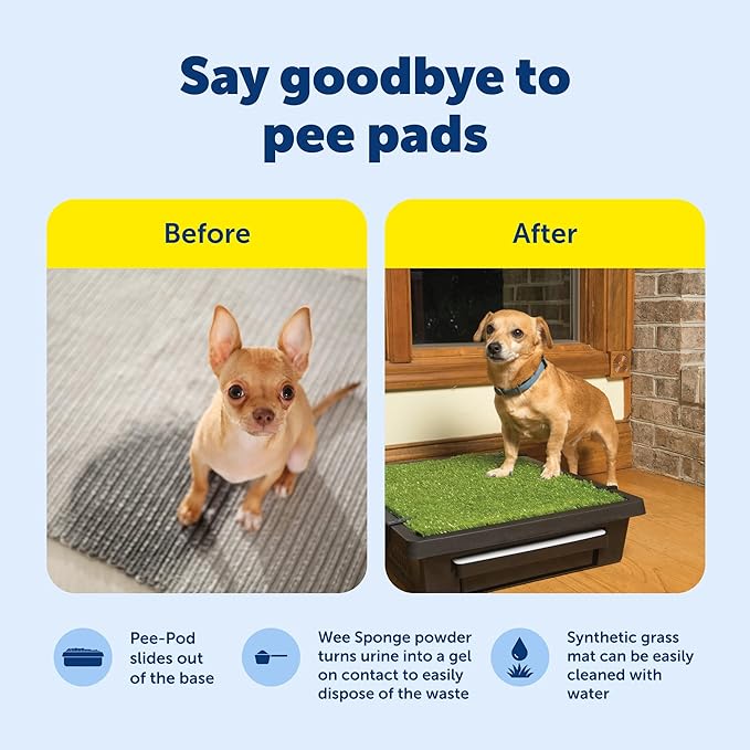 PetSafe Pet Loo Portable Dog Potty,Toilet Alternative for Puppy Pads, Perfect for House Training, Easy-to-Clean Grass Mat, Large