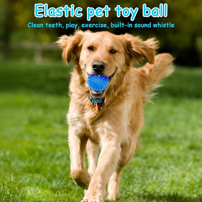 Squeaky Ball for Dogs | Spiky Dog Toy with TPR Rubber | Puppy Teething Ball & Chew Toy | Cleans Teeth & Resists Biting | for Small Medium Dogs & Cats | Interactive Fetch Toy