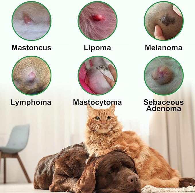 Lipoma Treatment for Dogs & Cats, Soften Fatty Lumps & Bumps in Dog, Castor Oil for Dogs, Pet Massage Oil, Soften Fatty Lumps & Bumps in Dog