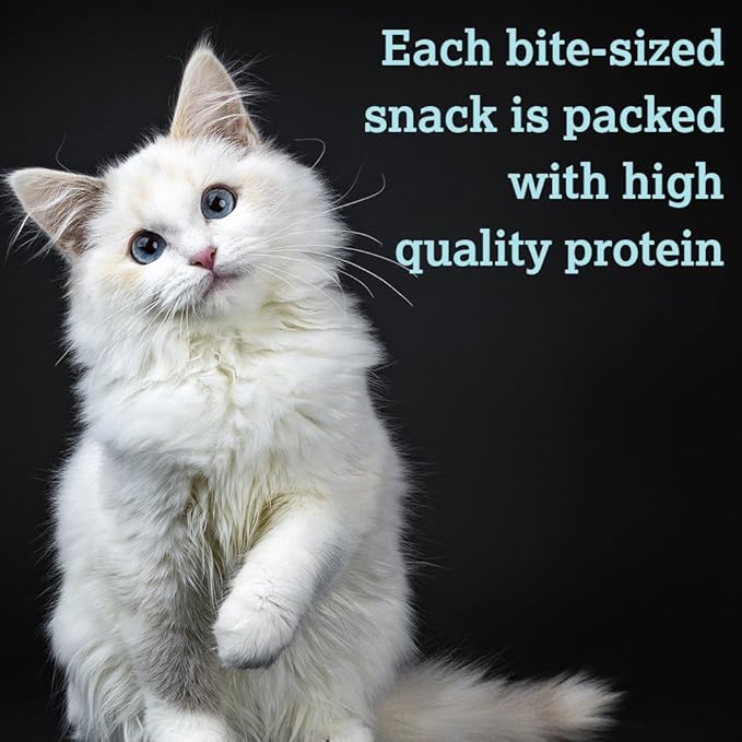 Caru - Soft ‘n Tasty Baked Bites - Salmon Bites Cat Treats - Flavorful All-Natural Treats - 3 oz. (Pack of 2)