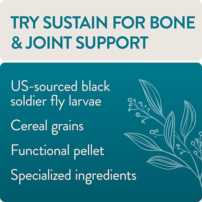 FLOCKLEADER Sustain, Functional Poultry Treats for Bone and Joint Support, 1.5 lb