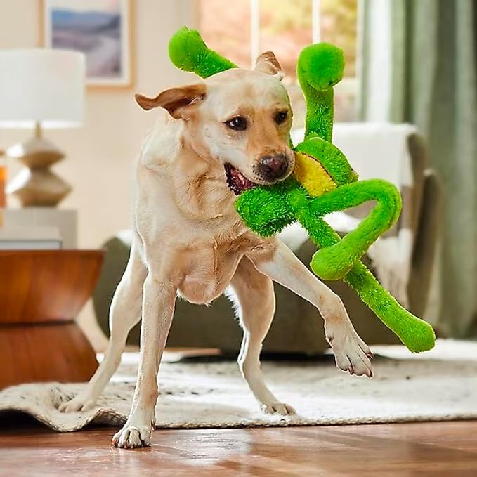 Large Extra Long Legs Over Sized Plush Animal Themed Dog Toys 27 inch Multiple Squeakers (One Discounted Toy - Random Color)
