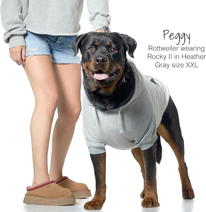 Pet Passion Rocky II - The Extra Comfy Hoodie, Organic Cotton and Recycled Poly Dog Hoodie Pet Coat Sweater for Small, Medium, Large Dogs, Heather Grey, XXX-Small (up to 5lbs)