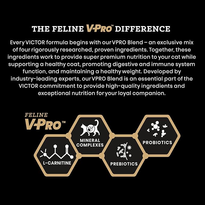 VICTOR Super Premium Cat Food – High-Protein Mers Feline Dry Cat Food with Chicken, Beef, Pork and Fish Meal for Normally Active Cats – All Breeds and All Life Stages from Kitten to Adult, 15 lb