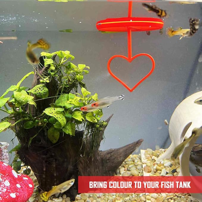 Floating Heart Betta Training Ring, Heart Active Betta Training Ring, Floating Feeder, Enrichment Toys for Aquarium Decor, Pink, 3.8in x 3.7in (Red, Single)