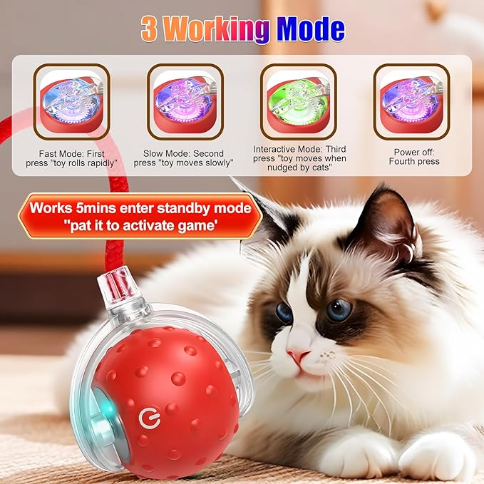 2Pcs Tinyfetch Dog Toy, Interactive Dog Cat Toys Balls with Birdsong, Rechargeable 360° Smart Automatic Rolling Electric Dog Ball Toy with Rope for Pets Indoor & Outdoor Play (Red+Blue)