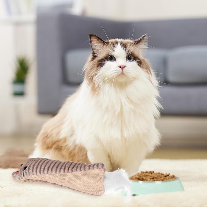 Catnip Plush Cat Chew with Crinkle Paper, Sisal Material Interactive Teething Chewing for Indoor Cats and Kittens, Funny Gray Catnip Stuffed