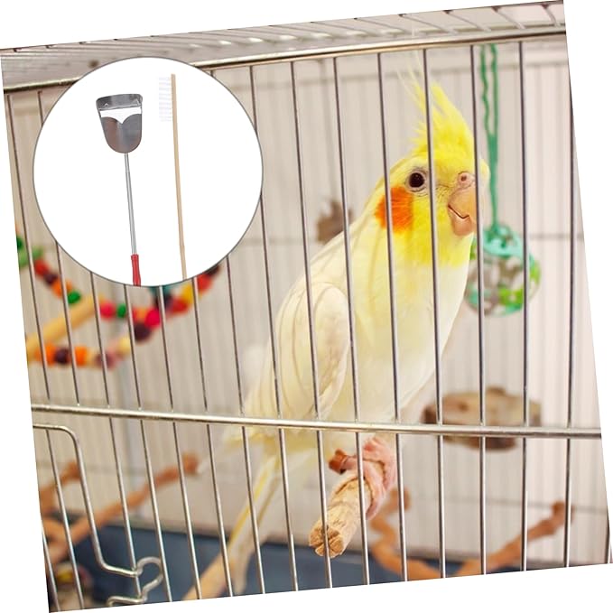 Angoily 4pcs Bird Cage Cleaning Tool Set and Handle Brush and Shovel for Efficient Parrot Cage Maintenance Random for Daily Cleaning
