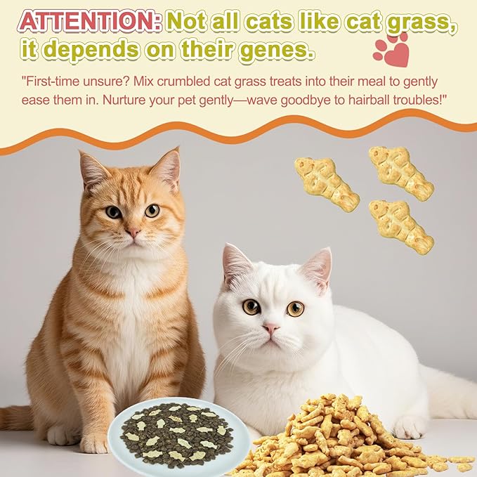 17.6 oz Cat Grass Treats for Indoor Cats - Hairball Control Natural Chicken & Catnip Flavor Healthy Kitten Snacks Crunchy Training Biscuits for Dental Cleaning