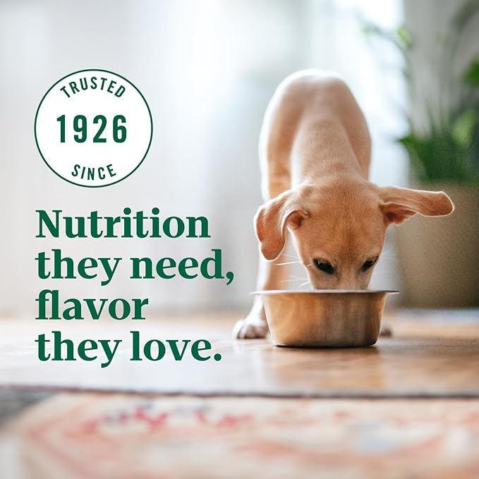 Nutro Ultra High Protein Dry Puppy Food, Chicken, Lamb and Salmon, Dry Dog Food with a Trio of Proteins, 22 lb. Bag