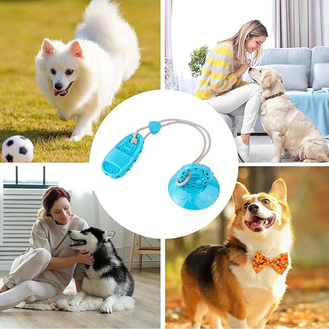 Interactive Dog Toy With Suction Cup Base Hollow Dog Ball That Holds Treats Inside Designed For Supervised Play For Cat Kitten Small Medium Large Breed Aggressive Chewers Indoor Outdoor Play Stimulati