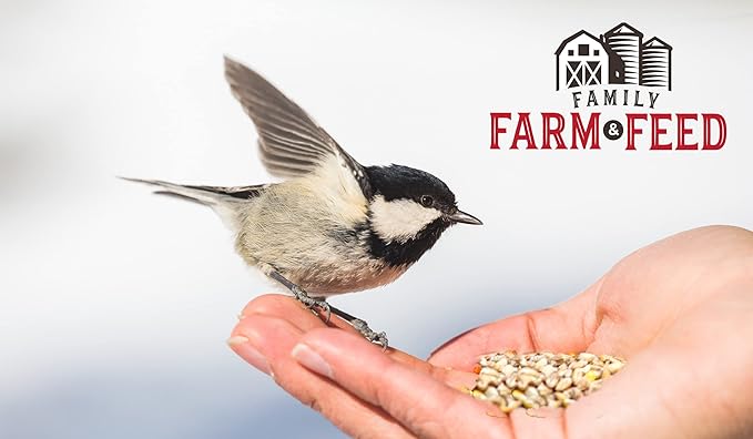 | Four Seasons | White Millet | Wild Bird Food | Backyard Songbird | 3 Pounds