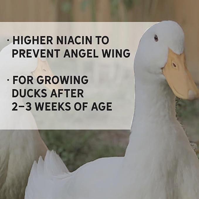 New Country Organics I Organic Duck Grower Feed I 19% Protein I Certified Organic and Soy-Free Duck Food for Healthy Growth | Ideal for Wild & Pet Ducks | Prevents Angel Wing I 40 lbs