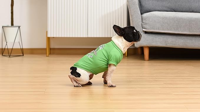 Star Wars Grogu May The Luck Be with You Tee for St. Patrick's Day | Size Large | Cute Green Dog Clothes (FF20332) (Pack of 2)