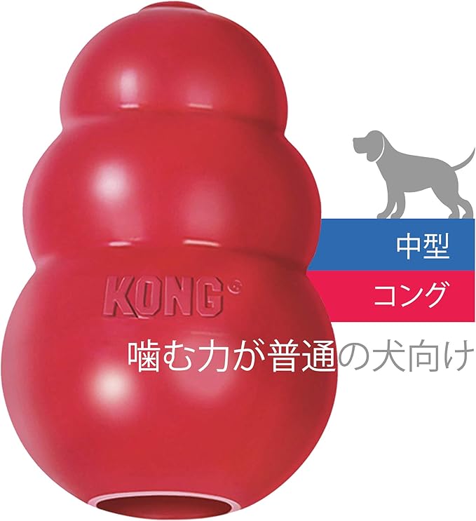 kongu (Kong) kongu Medium