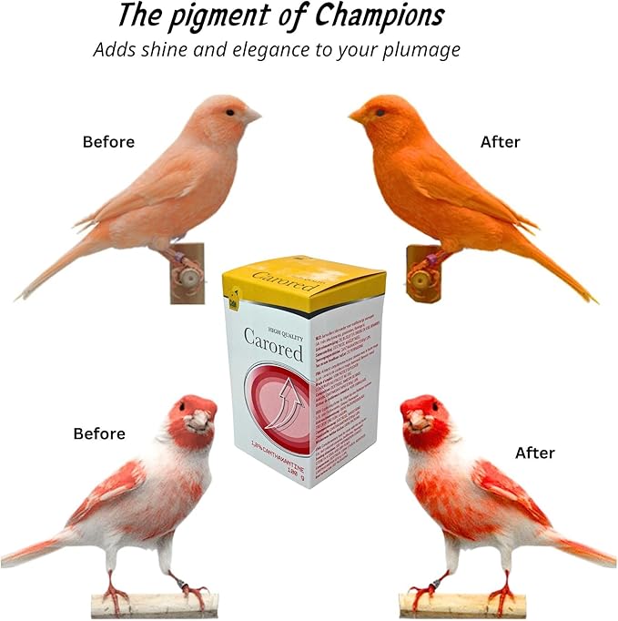 CéDé Carored Bird Food 100g, Rich in Protein, Ideal for Canaries, Flamingos and Cardinals, with Canthaxanthin to Enhance the Red Color, Treats and Nutrition for Birds, Canary Food