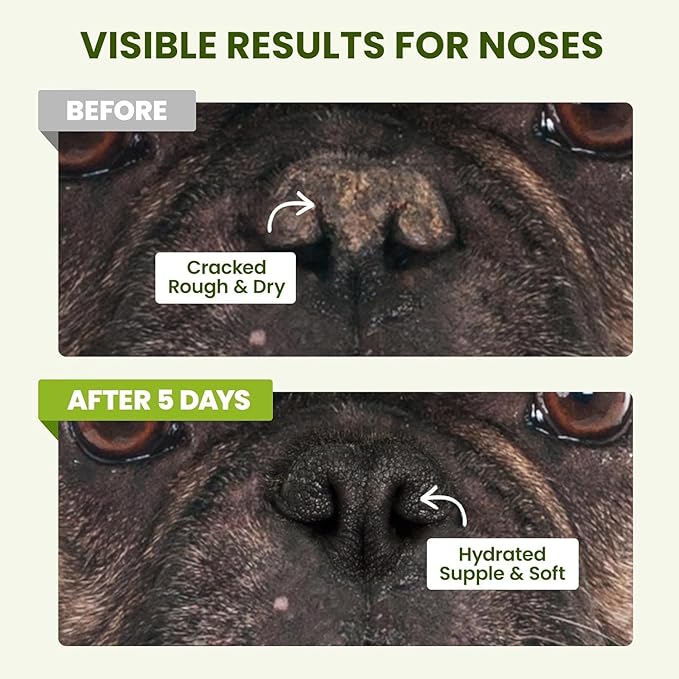 Snout Soother Nose Balm for Dogs & Cats - Natural Healing & Moisturizing Balm for Dry, Cracked Snouts - Plant-Based, Soothing Skin Formula