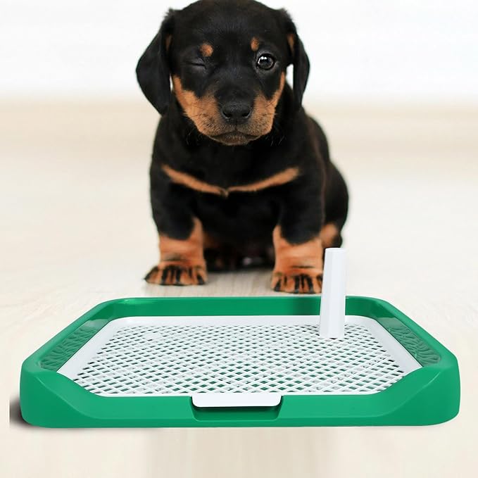 Abaodam Dog Indoor Potty Tray for Small and Medium Dogs with Green Base Puppy Training Litter Box for Housebreaking and Urine Containment