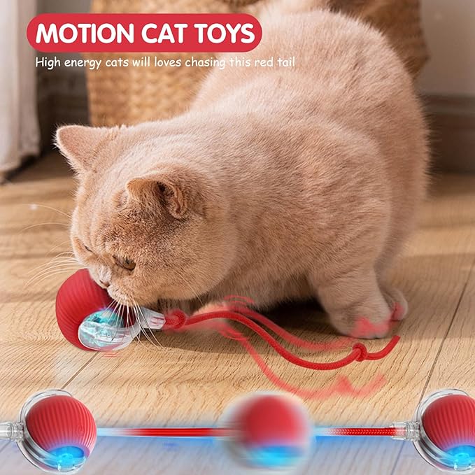 Interactive Dog Ball, Electric Cat Ball, cat Toys for Bored Indoor Adult Cats, Interactive Cat Toys for Indoor Cats, Interactive Dog Toys