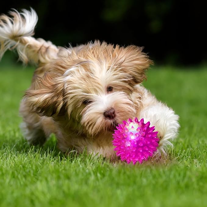 DragonflyDreams 6-Pc Spiky LED Dog Chew Toys with Spiky Balls, Glow in Dark, Interactive Toss-ball for Fetch & Tug