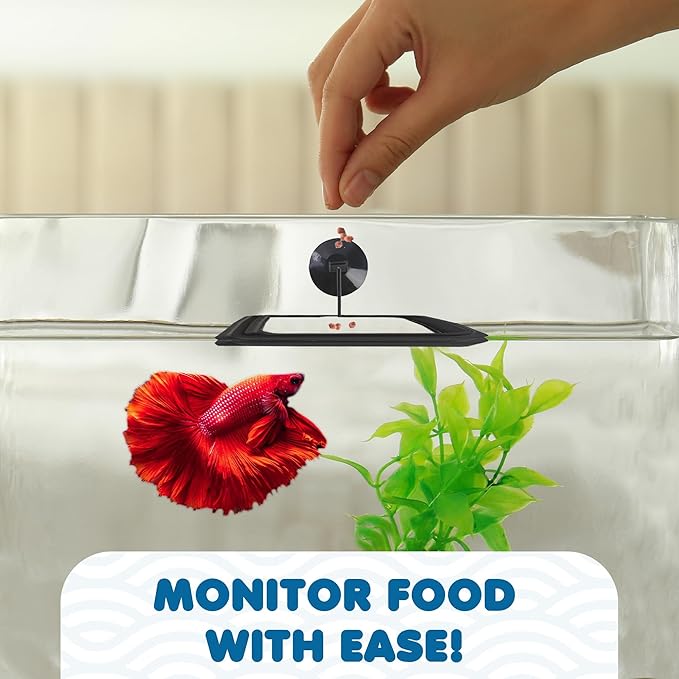 SunGrow Fish Food Feeding Ring, Stop Water Turbulence from Washing Food & Floating Plants into Filter, Suitable for Flakes & Floating Fish Pellets, for Goldfish, Guppy, Neon Tetra, Betta, 1 Piece