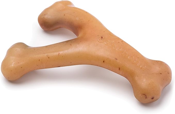 Benebone Fishbone and Wishbone Durable Dog Chews | Real Fish and Chicken Flavor | for Aggressive Chewers
