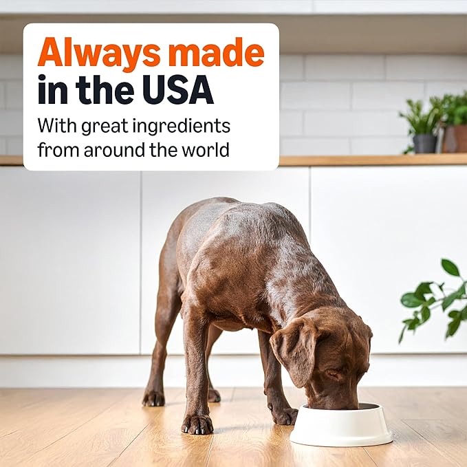 Amazon Basics Wet Dog Food, Meaty Loaf, Filet Mignon Flavor, Made with Real Chicken and Beef, 13.2 oz can (Pack of 12)