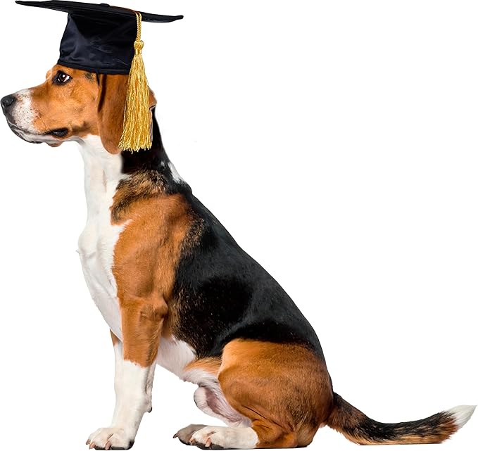 Rubies Graduate Pet Hat for Dogs or Cats, M/L