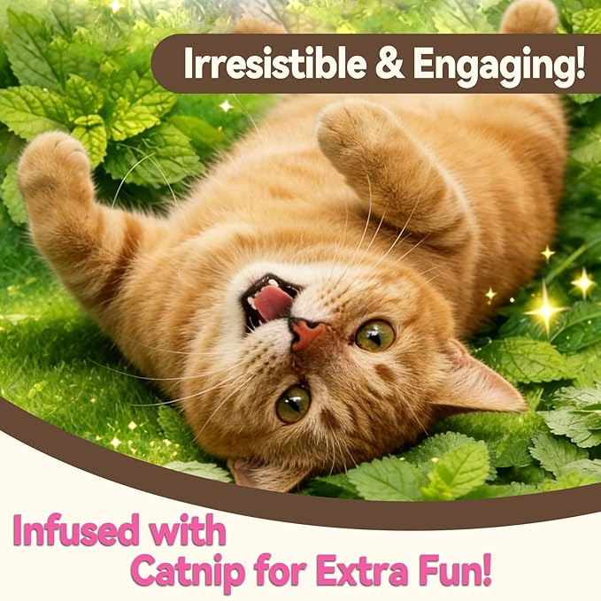 Catnip Cat Treats, Chicken & Salmon Flavor Crunchy Cat Biscuits, Fish-Shaped Training Snacks for Adult Cats, 30 oz