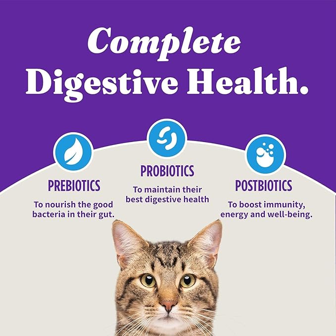 Halo Holistic Cat Food Wild Caught Whitefish Formula, Healthy Grains Dry Cat Food, For Sensitive Stomach Support, Kibble for Adult Cats, 6 lb Bag