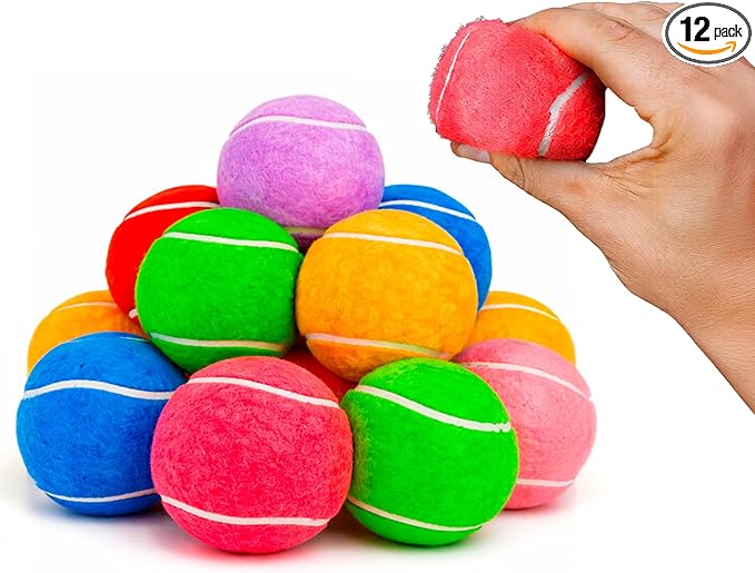 BundleBee Petite Paws Squeaky Tennis Balls for Dogs 2.5 Inch - 12 Pack Dog Toy Balls - Non-Toxic Rubber Squeaky Balls for Medium Large Dogs, Fetch Training Toys, Colorful Bouncy Dog Ball