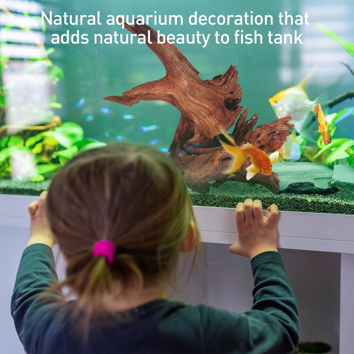 WDEFUN Natural Driftwood for Aquarium Decor, 2-Piece 10''-14'' Large Driftwood for Decorations on Fish Tank, Reptiles Bearded Dragon Accessories or Air Plants