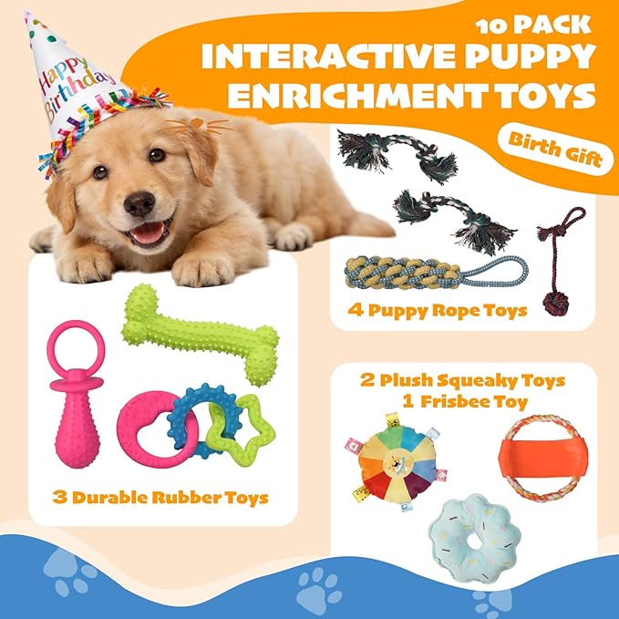 Puppy Play Gym with 10 Hanging Toys, 19.5" PVC Removable Dog Enrichment Playground, Interactive Indoor Training Activity Center for Small Dogs & Puppies with Rubber/Teething/Rope/Squeaky Toys