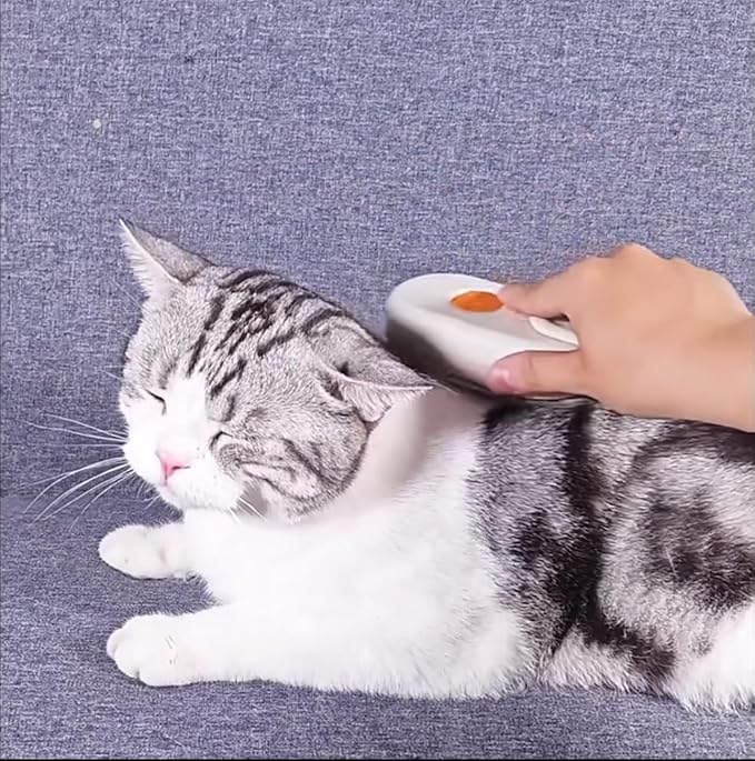 Easy Self-Cleaning Pet Steam Brush with 360° Rotating Arm for Long and Short Hair Cats and Dogs Grooming Supplies Steam Brush for Shedding (One Size, 4, Count)