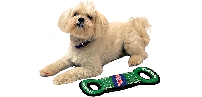 NCAA Football Field Dog Toy with Squeaker. - OLE Miss Rebels - for Tug, Toss, and Fetch. - Tough& Durable PET Toy