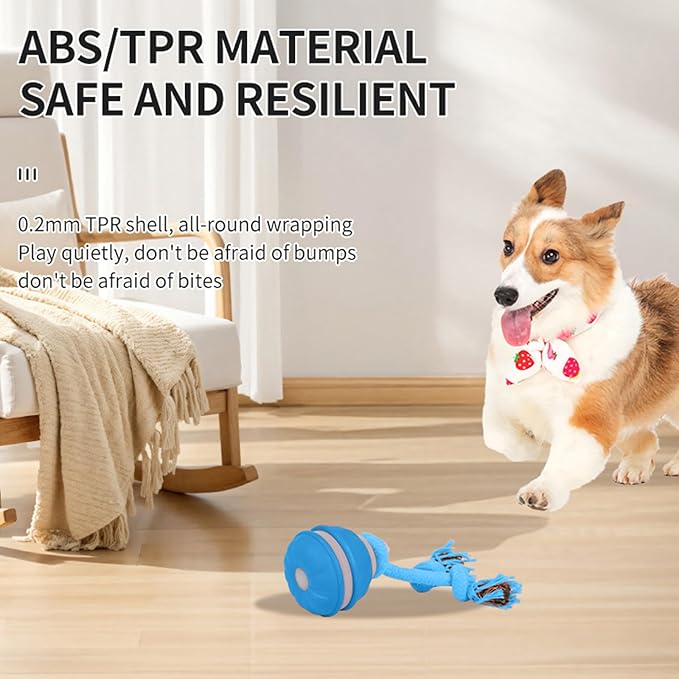 Interactive Dog Cat Toys Dog Ball,Automatic Rolling and Bouncing Moving Dog Toy,Squeaky Rolling Balls with Flashing Light,USB Rechargeable Chew Toys for Puppy Small Dogs, Pet Ball to Keep Them Busy