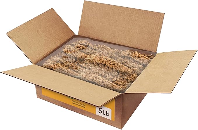 Kaytee Spray Millet Treat for Pet Birds, 5 Pound