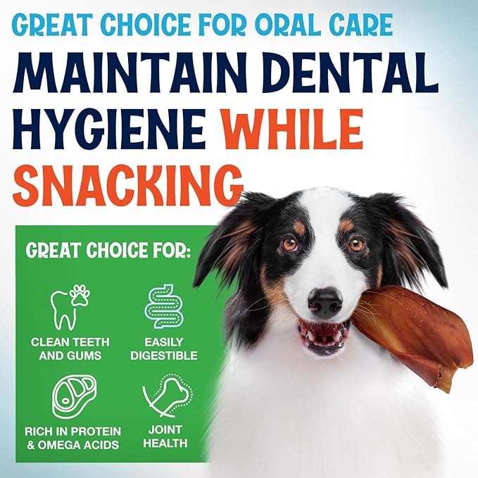 Whole Pig Ears for Dogs Large - 30 Pack Long Lasting Dog Chews – One Ingredient Delicious All Natural Flavor – Easy to Digest Dog Treats for Large Dogs - Great for Teeth and Gums