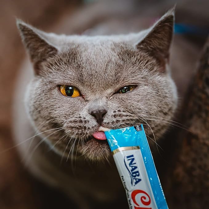 INABA Churu Lickable Purée Natural Cat Treats (Chicken with Shrimp Recipe, 4 Tubes)