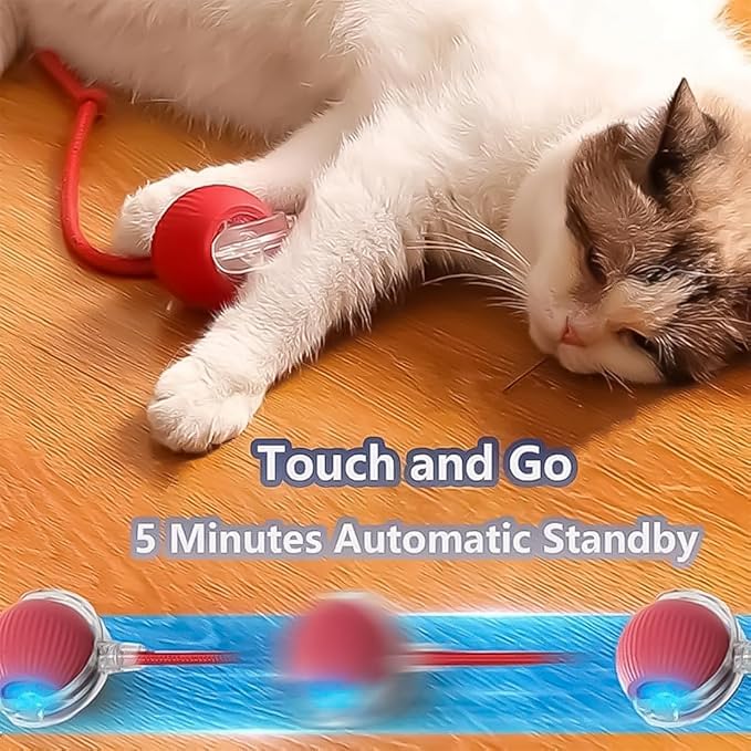 2026 New Generation Interactive Cat Toys Indoor, 360° Smart Automatic Cat Ball Three Modes with Long-Lasting Durability, for All Cats & Dogs (Gray, Wake C)