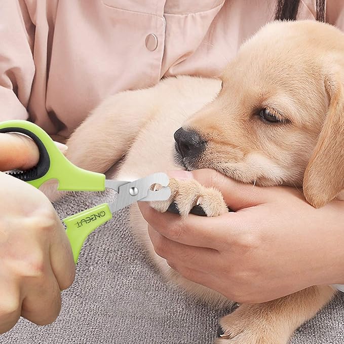 Pet Nail Clippers, Update Version Cat & Kitten Claw Nail Clippers for Trimming, Professional Pet Nail Clippers Best for a Cat, Puppy,Rabbit, Kitten & Small Dog,Sharp & Safe (Green)