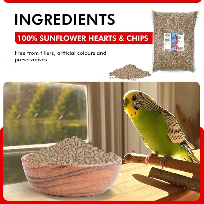 Morning Bird Sunflower Hearts & Chips 9 lbs – Premium Bird Seed with High Protein & Healthy Fat - Shelled Sunflower Hearts for Birds - Mess Free, Easy to Feed, Delicious Snack