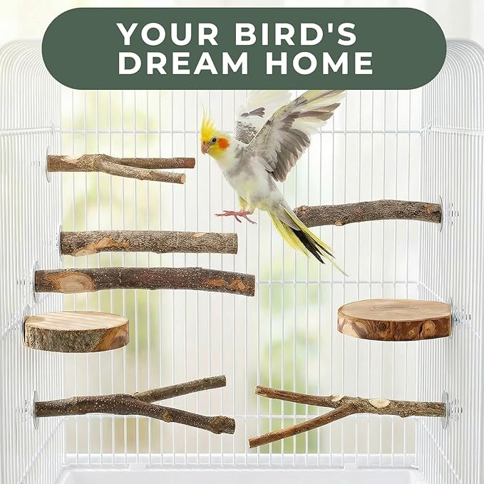 20 Pack Bird Toys for Cockatiels, Parakeet Toys for Cage, Natural Wood Parakeet Perches, Hanging Budgie Toys Swings and Parakeet perches, Essential Avian Playthings for Inside Cage