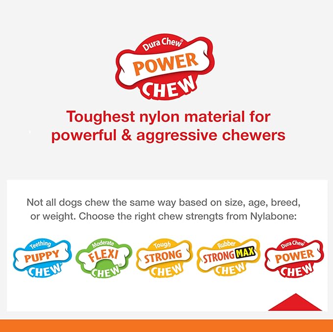 Nylabone PRO Action Dental Bone Power Chew Toy for Dogs, Dog Toys for Aggressive Chewers, Bacon Flavor, Medium - Up to 35 lbs, 1 Count