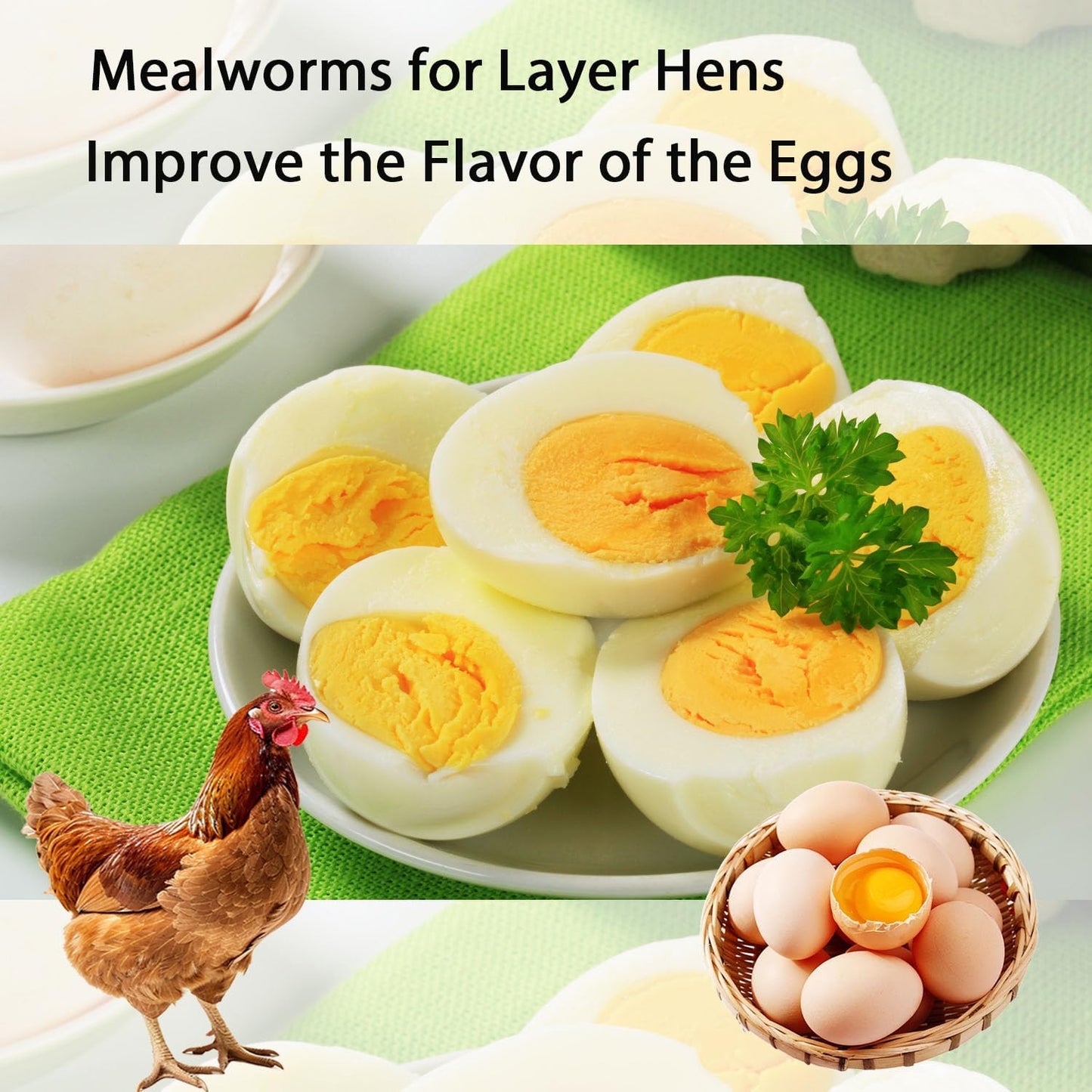 Dried Mealworms 5LB Pure Natural Non-GMO Mealworms for Chickens High Protein Chickens Feed Meal Worms for Laying Hens Wild Birds